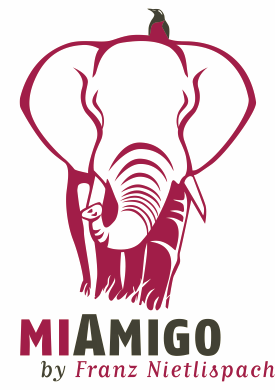 Miamigo Logo